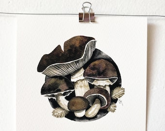 STROPHARIA RUGOSOANNULATA - art print, mushroom illustration, mushroom art, wall art, India ink painting, mycology lover gift, gift idea