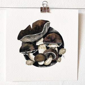 Etsys Pick MUSHROOM SERIES 5 X 5, art print, illustration, art, wall art, India ink painting, Christmas, mycology lover gift, gift idea image 9