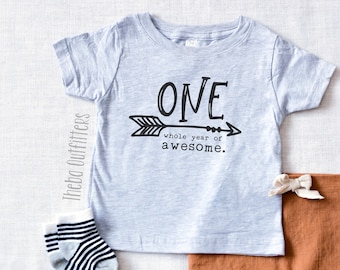 First Birthday Shirt, 1st Birthday Shirt Boy Girl, One Shirt Boy, One year Shirt, One While Year of Awesome, First Birthday ONESIE®, Baby