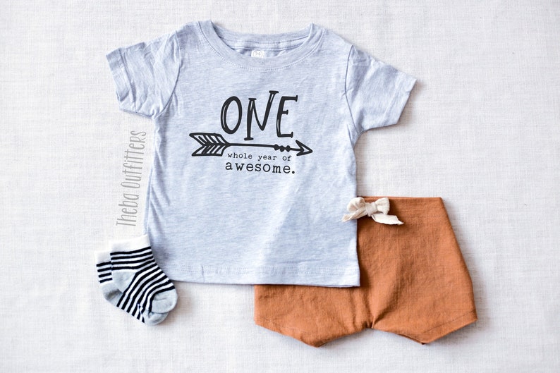 First Birthday Shirt, 1st Birthday Shirt Boy Girl, One Shirt Boy, One year Shirt, One While Year of Awesome, First Birthday ONESIE®, Baby image 1