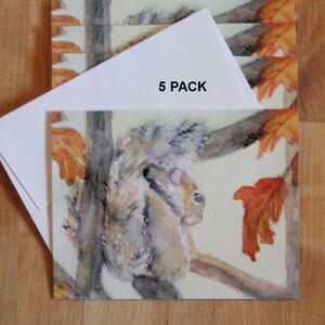 Cute Squirrel Note Cards Thanksgiving Harvest Greeting Card Pack Autumn Woodland Animal Notecard Set Fall Invitations Small Hostess Gift