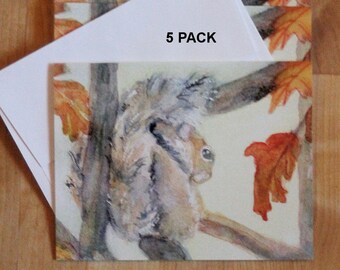 Squirrel Note Cards Woodland Animal Card Set of 5