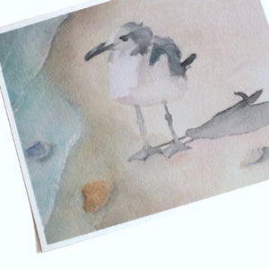 Seagull watercolor fine art print.  The sea bird is painted standing on sand near the waters edge with a couple of seashells strewn about.  His shadow is shown behind and to the right.  Evokes the feeling of bright sunshine on a summer beach day.