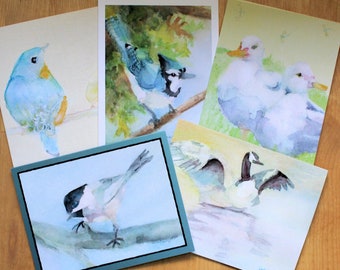 Bird Note Cards Assortment Artistic Watercolor Card Set includes Bluebird Chickadee Blue Jay Goose and Duck Gift for Birders Nature Lovers
