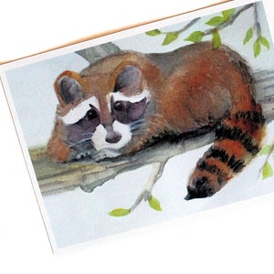 A little racoon is looking right at you in this watercolor art print on textured, acid free paper.  Shown laying on the branch of a tree with his hands folded under his chin. His bushy tail dangling off the branch in front of him.  Brown & blue decor