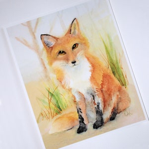 A sitting orange, brown fox stares straight at the viewer from this vertically formatted watercolor art print.  Behind him are hints of tall grasses and misty trees.  Printed on textured, acid free art paper.  A lovely addition to your home. Unframed