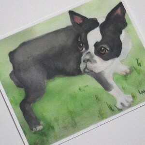 Boston Terrier puppy watercolor art print on textured acid free paper.  The little dog is painted in black, white and greys with pink in the ears and brown eyes.  He is in a standing position on a grassy lawn in this horizontally formatted print.