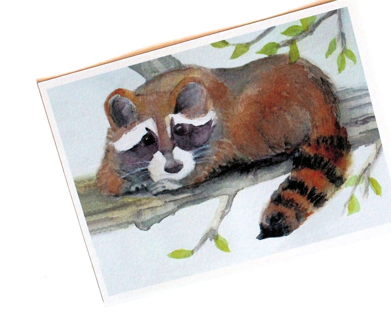 A little racoon is looking right at you in this watercolor art print on textured, acid free paper.  Shown laying on the branch of a tree with his hands folded under his chin. His bushy tail dangling off the branch in front of him.  Brown & blue decor