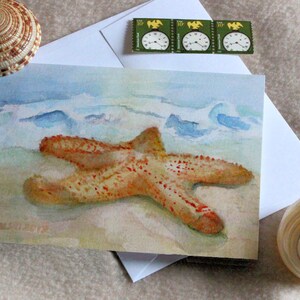 Beach Note Card Assortment Seashore Stationery Variety Pack Artistic Summer Watercolor Shore Thank You Cards Fish Fry Clam Bake Invitations image 8