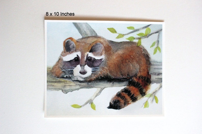 Raccoon Watercolor Print Forest Animal Nursery Art Woodland Racoon Painting Wildlife Picture Home Office Wall Decor Nature Lover unframed 8x10 inches