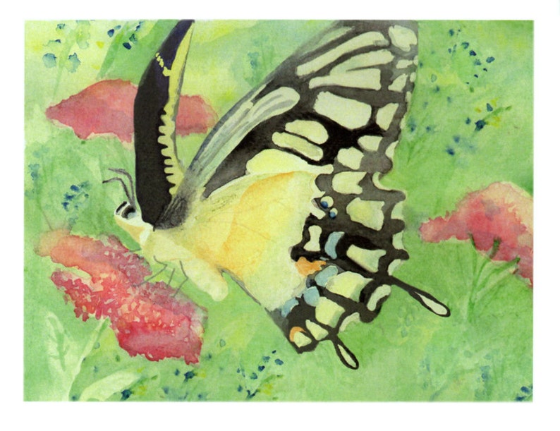 Butterfly Watercolor Note Card Yellow Giant Swallowtail and Wildflowers ...