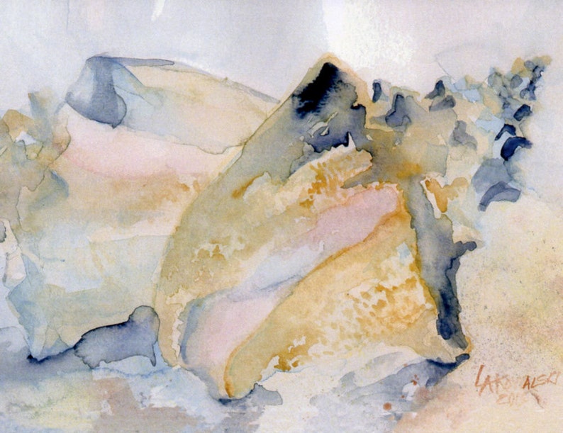 Beach Note Cards Seashore Notecards Seashell Conch Shell image 1