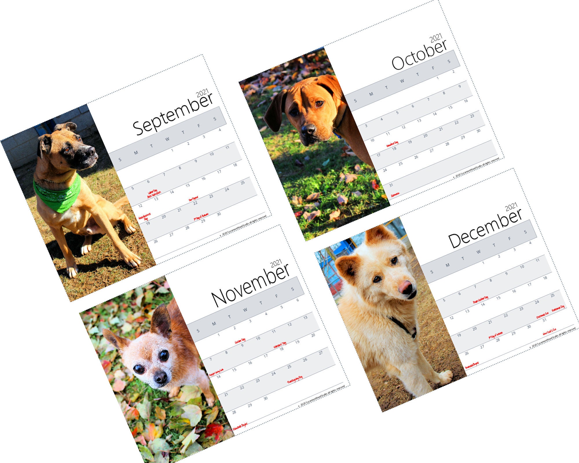 2024-business-advertsing-calendars-dogs-calendar-low-as-65