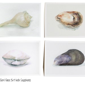 Beach Art Seashell Watercolor Print Minimal Sea Urchin Channel Whelk Oyster Clam Muscle Shell Painting Neutral Seashore Artwork Shore Decor Buy 3, 1 Free 5x7 inches