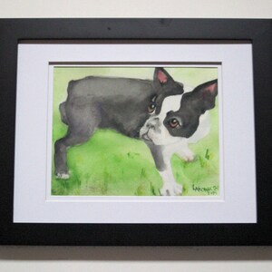 May include: Watercolor painting of a black and white Boston Terrier puppy looking at the viewer. The puppy is standing on a green grassy background.