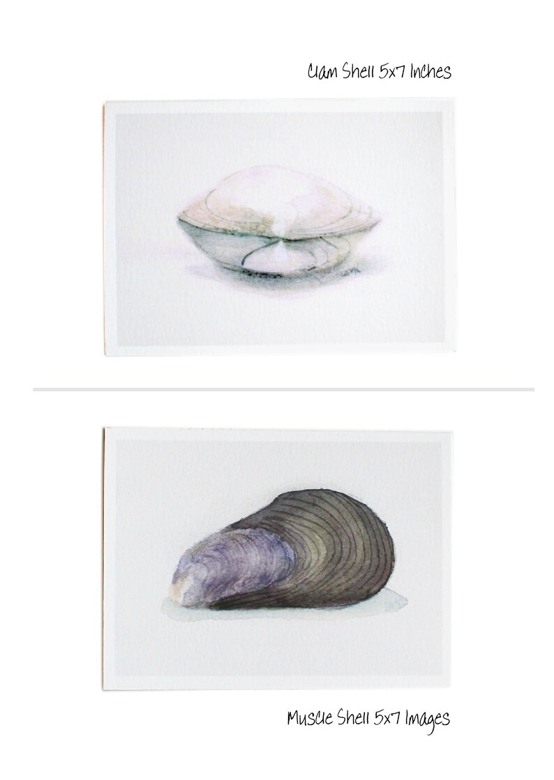 Beach Art Seashell Watercolor Print Minimal Sea Urchin Channeled Whelk Oyster Clam Muscle Shell Painting Neutral Seashore Artwork image 7