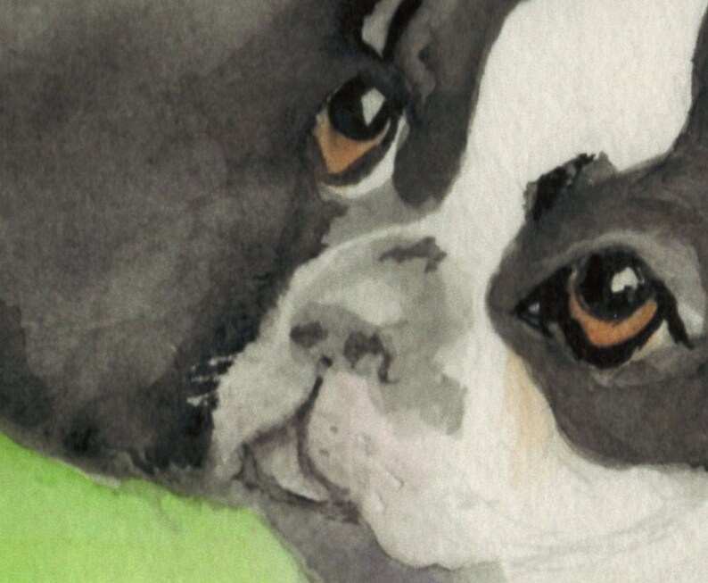 May include: A watercolor painting of a dog's face. The dog has black and white fur, with brown eyes. The dog's nose is pink and its mouth is slightly open.