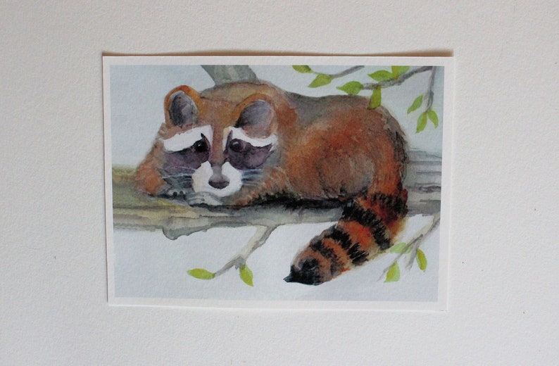 Raccoon Watercolor Print Forest Animal Nursery Art Woodland Racoon Painting Wildlife Picture Home Office Wall Decor Nature Lover unframed image 2