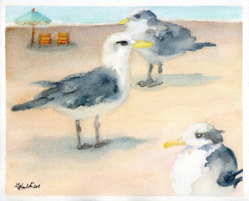Seagulls Watercolor Beach Painting Sea Bird Artwork Seagull Picture