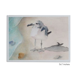 Seagull Watercolor Art Print Shore Bird Picture Sea Bird Beach House Painting Gull Seashore Wall Decor Seaside Artwork Shore Life unframed 5x7 inches