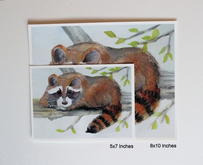 Raccoon Watercolor Print Forest Animal Nursery Art Woodland Racoon Painting Wildlife Picture Home Office Wall Decor Nature Lover unframed image 5