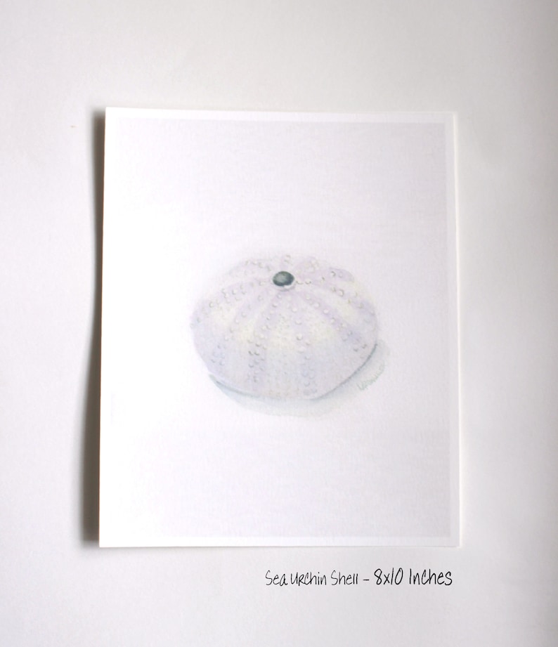 Neutral Art Print of a sea urchin test or seashell.  Painted in a minimalist style on an off white background, the shell is centered in an 8x10 inch vertical format.  A touch of violet is used to designate the stripes on the shells surface.  Wall Art