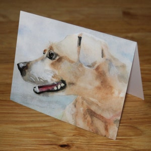 Hound Dog Note Cards Watercolor Stationery Notecard Set Dog Walker Pet Sitter Thank You Birthday Greeting Card Pack Invitations K9 Gift image 3