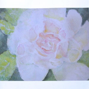 A watercolor fine art print of a white rose flower accented with pinks and peach. The flower is surrounded by green leaves. The painting is signed 'L. A. Kowalski' in the bottom left corner. Horizontal format, 16x20 Inch size on textured fine art paper.