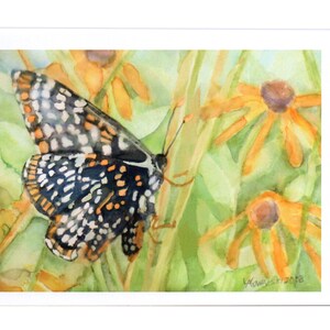 Watercolor Butterfly Note Cards Variety Pack All Occasion Card Set Butterflies Assortment Gift for Gardeners Mothers Day Teacher Grandmother image 4
