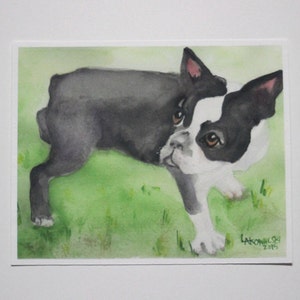May include: Watercolor painting of a black and white Boston Terrier dog standing on green grass. The dog is looking to the left of the image. The artist's signature and the year 2015 are in the bottom right corner of the painting.