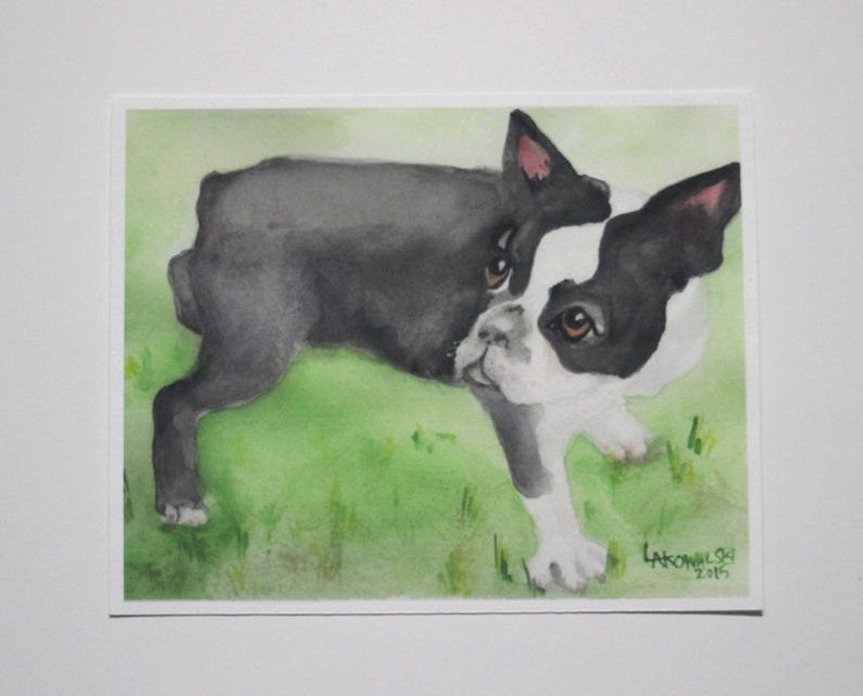 May include: Watercolor painting of a black and white Boston Terrier dog standing on green grass. The dog is looking to the left of the image. The artist's signature and the year 2015 are in the bottom right corner of the painting.