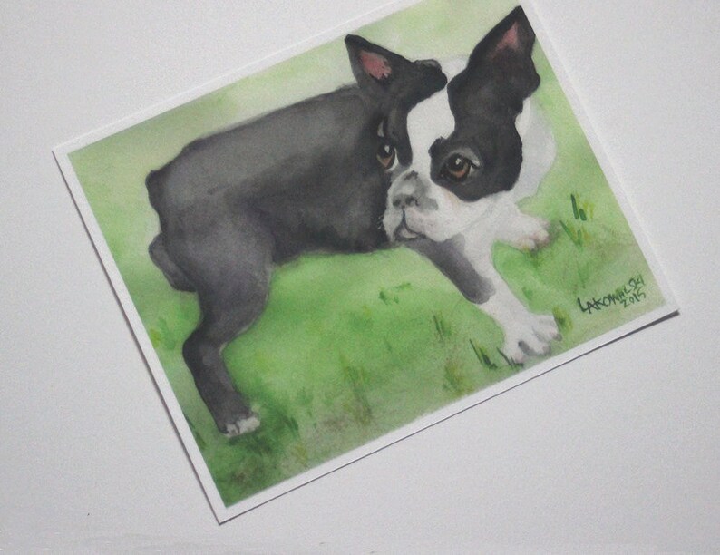 Boston Terrier puppy watercolor art print on textured acid free paper.  The little dog is painted in black, white and greys with pink in the ears and brown eyes.  He is in a standing position on a grassy lawn in this horizontally formatted print.