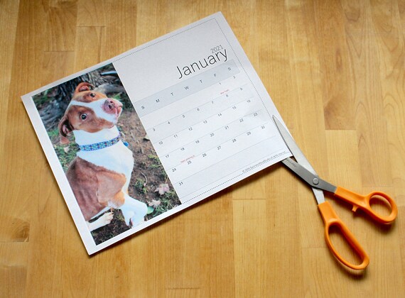 2021 Calendar Printable Dogs Puppy Dog Photo Calendars Wall Or Etsy mutts 2021 wall calendar