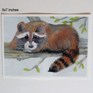 Raccoon Watercolor Print Forest Animal Nursery Art Woodland Racoon Painting Wildlife Picture Home Office Wall Decor Nature Lover unframed 5x7 inches