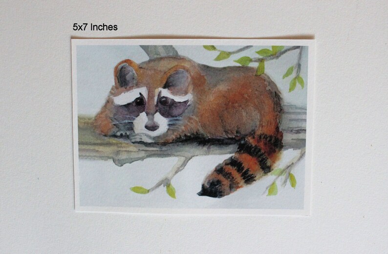 Raccoon Watercolor Print Forest Animal Nursery Art Woodland Racoon Painting Wildlife Picture Home Office Wall Decor Nature Lover unframed 5x7 inches
