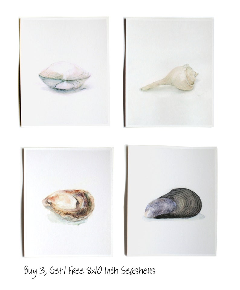 Beach Art Seashell Watercolor Print Minimal Sea Urchin Channel Whelk Oyster Clam Muscle Shell Painting Neutral Seashore Artwork Shore Decor Buy 3, 1 Free 8x10 inches