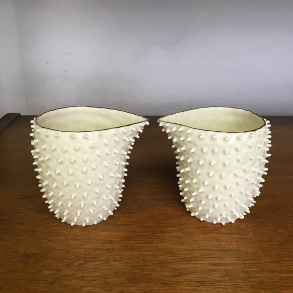 Nucleolus spiky milk jug