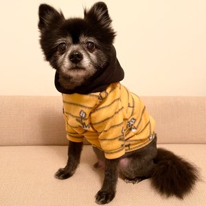 Yellow Striped Pet Hoodie, pet sweater for Small Breeds