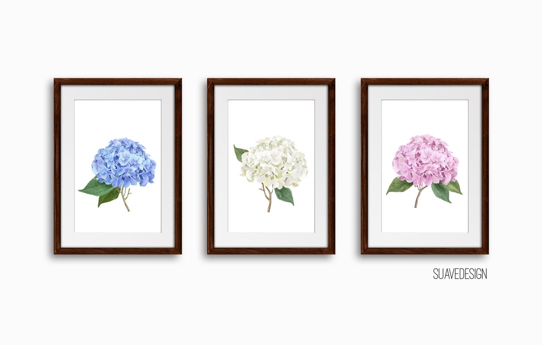 Hydrangea Art Prints Set of 3x Botanical Watercolor Unframed Wall Arts Decor Peony Dahlia Green