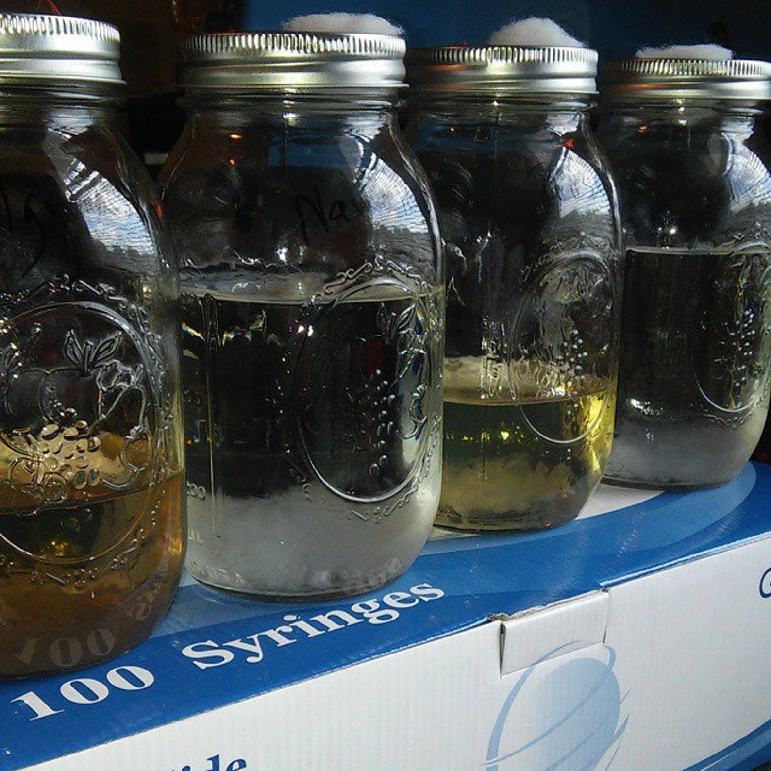 Liquid Culture Mycelium Syringe Your Choice Etsy Liquid Culture Mycelium Syringe Your Choice Etsy