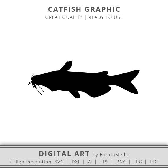 Download Catfish SVG Freshwater Fish Catfish Fishing Clip Art | Etsy