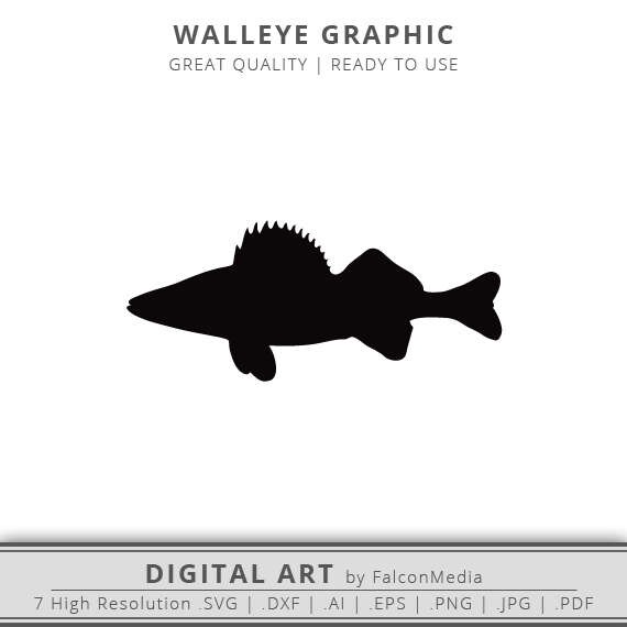 Download Walleye SVG Walleye Fish Freshwater Fish Angler Clipart | Etsy