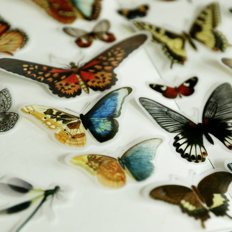 80 pcs vintage butterfly sticker packdragonfly etsy
