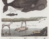 1797 Rare Antique Humpback Whale Whaling Flying Bridge Construction Original Print from Encyclopaedia Britannica