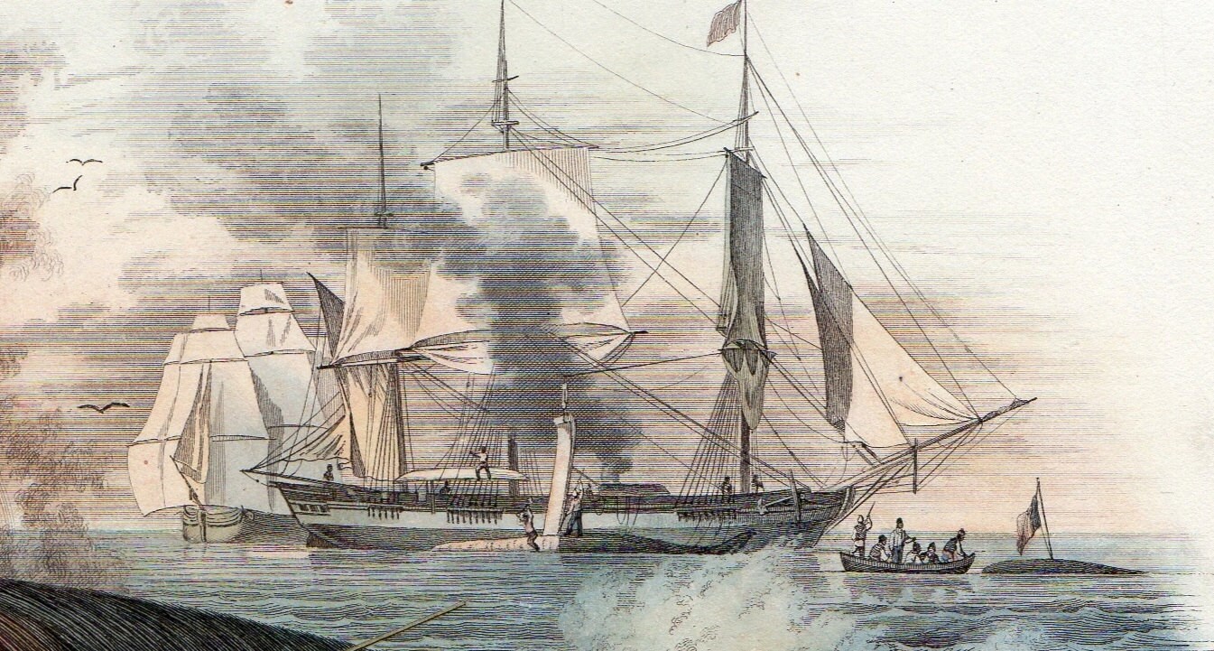 1850 Whaling Print by French Artist Edouard TRAVIES Sea Life Etsy UK