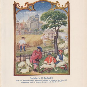 Antique 1900 Medieval Period Sheep Shearing Original German Lithograph Print Hans Kraemer from Weltall und Menschheit 1900 edition image 2