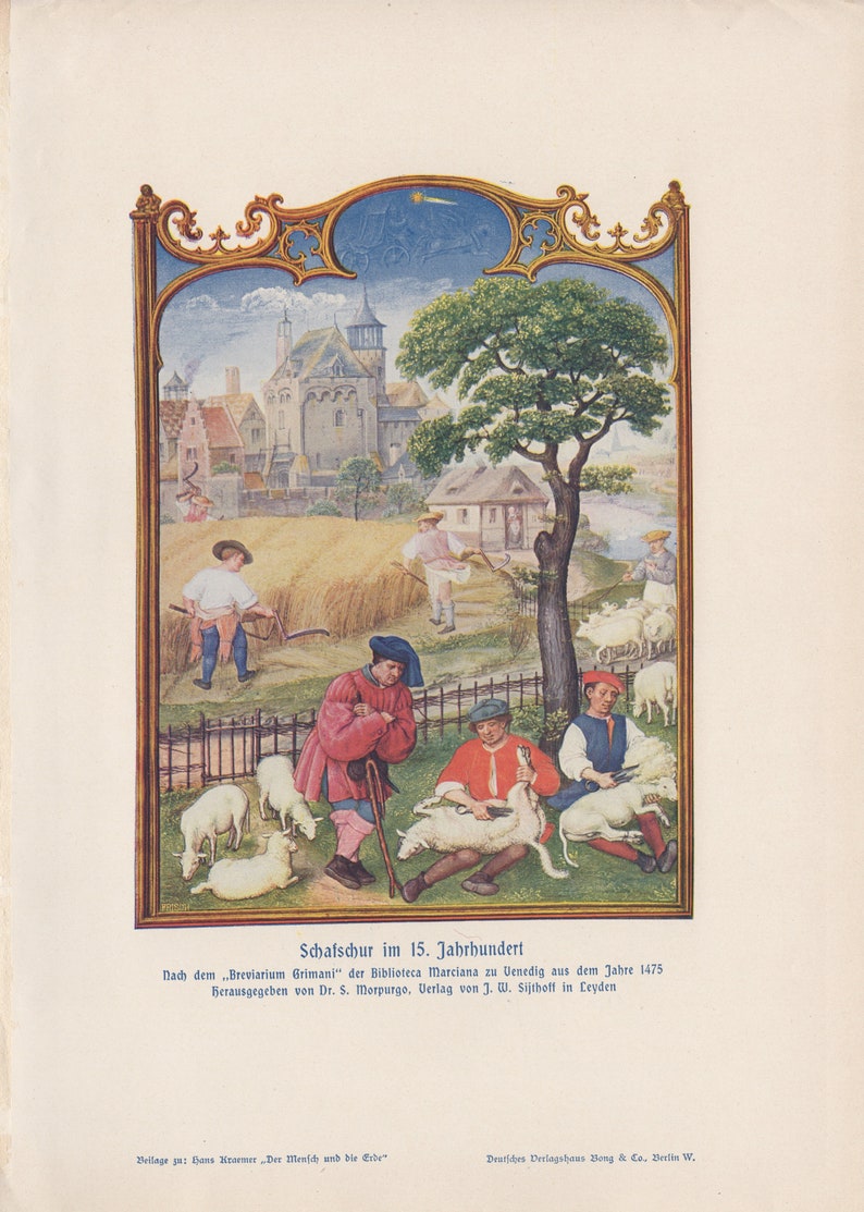 Antique 1900 Medieval Period Sheep Shearing Original German Lithograph Print Hans Kraemer from Weltall und Menschheit 1900 edition image 2