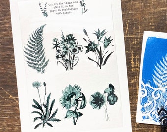 DIY Cyanotypi-kit Soltryck på akvarellpapper – Blomschabloner Naturtryck Konstkit