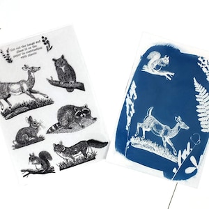 Kit de cyanotype: Pochoirs animaux de la forêt, Créez vos impressions et cadeaux faits main, pour les cadeaux d'anniversaire, les artistes