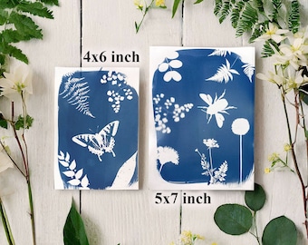 Cyanotype craft kit, solar printing kit, DIY craft kit for adults and children, sun printing, nature lovers, blueprint